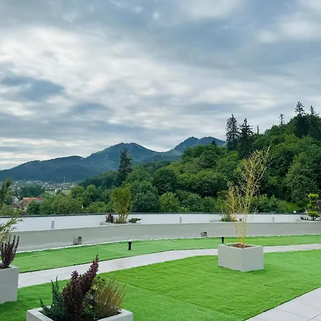 New, Cozy With Mountain View *
